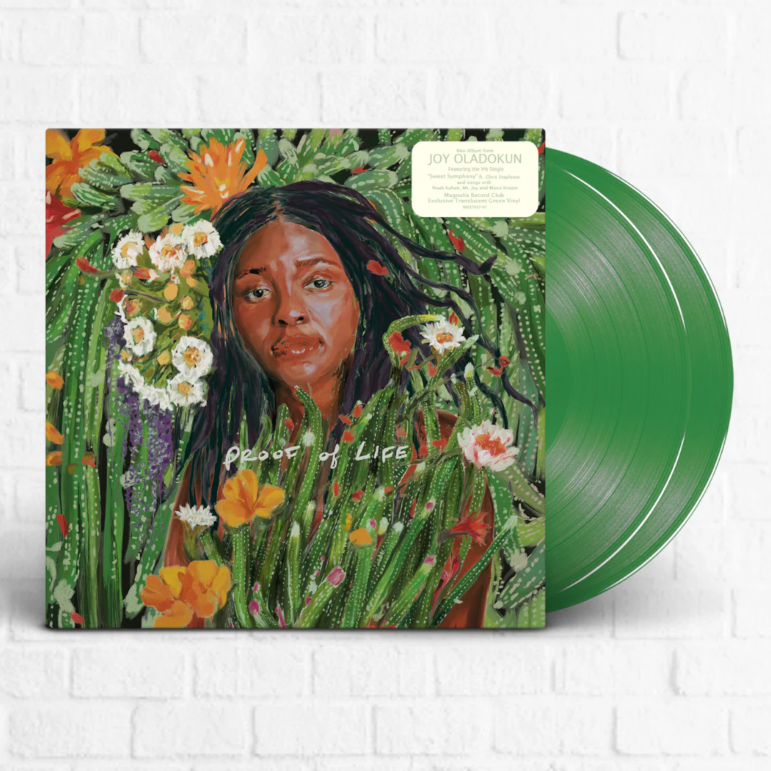 Lightly Loved Vinyl - Image 14