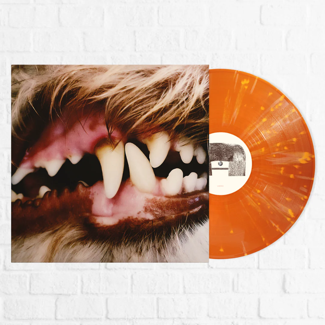 Lucius [Exclusive Orange Blossoms] - Image 3