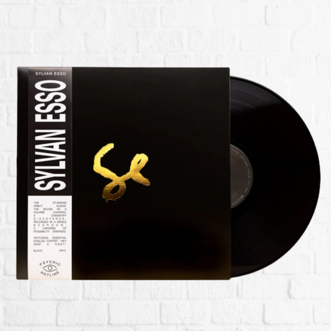 Sylvan Esso - Image 2