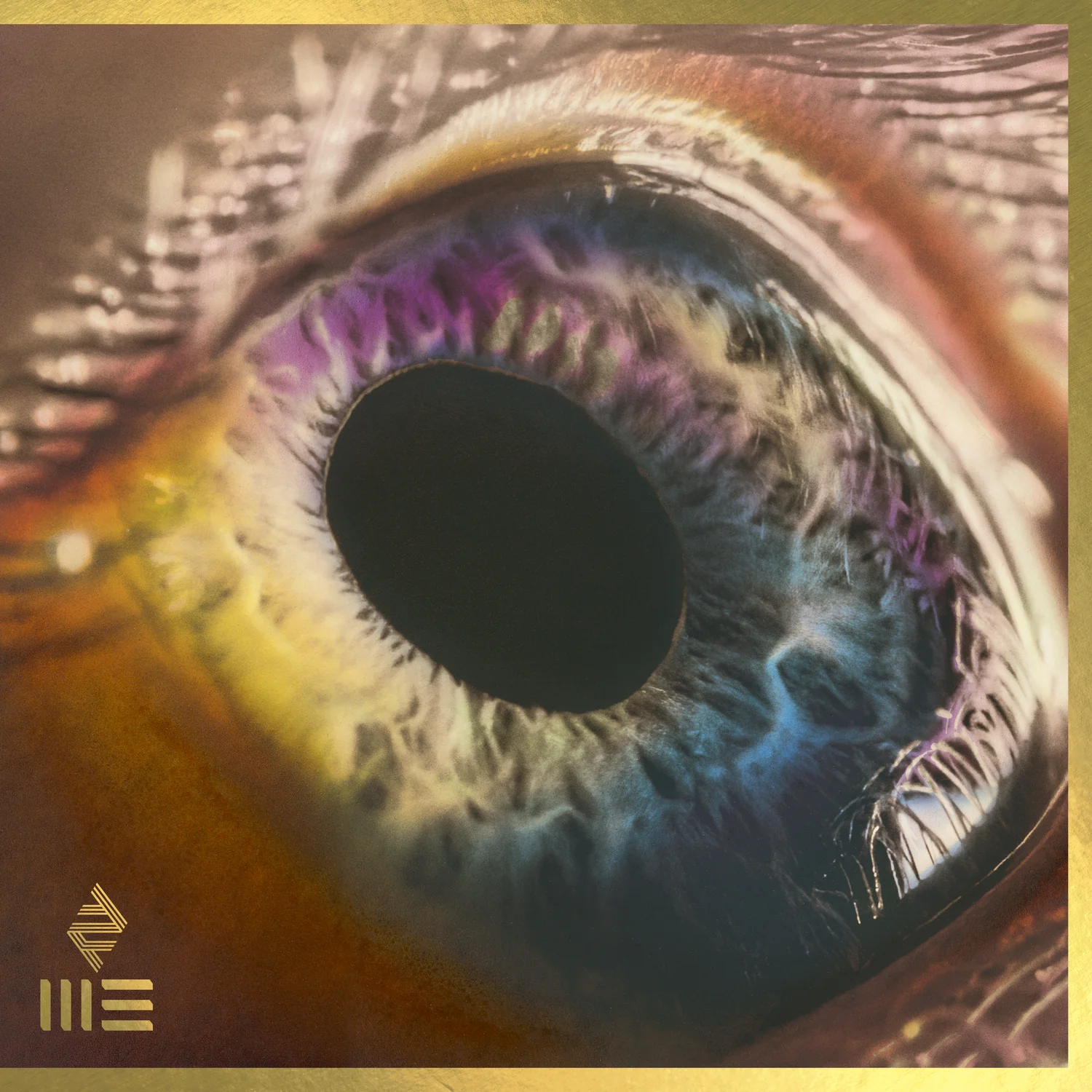 WE - Image 3